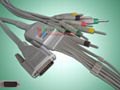 Nihon Kohden  EKG Cable with 10