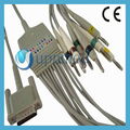 Philips One Piece 10-Lead EKG Cable With Leadwires 1