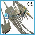 Philips One Piece 10-Lead EKG Cable With Leadwires