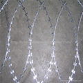 galvanized razor barbed wire