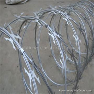 galvanized razor barbed wire  3