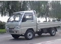 Foton mini truck 1