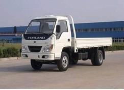 Foton Forland light truck