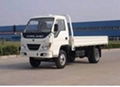 Foton Forland light truck