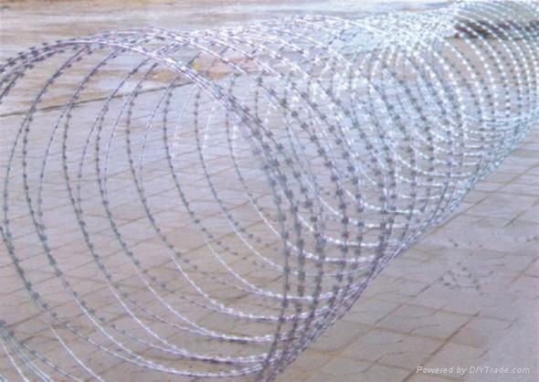 razor wire 