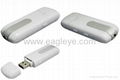 USB Flash Disk Style Digital Video