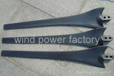 600W Wind Turbine Generator DC/AC 12V/24V Auto Distinguish & CE 3 year warranty 2