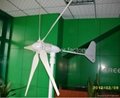 OEM 500W wind turbine power generator windmill products 12V/24V 2