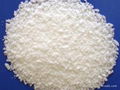 Stearic Acid