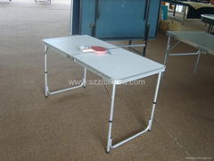 Standard International Mini Table Tennis Table