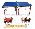 Standard International Mini Table Tennis Table 4