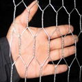 hexagonal wire mesh 1