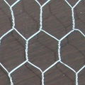 hexagonal wire mesh 2