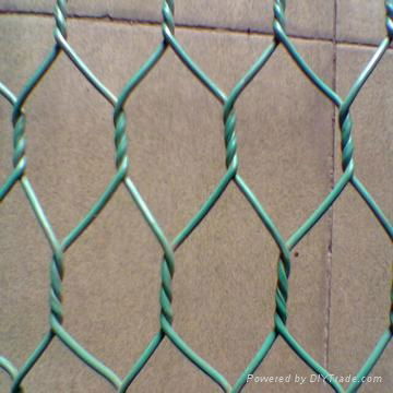 hexagonal wire mesh 3