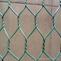 hexagonal wire mesh 3