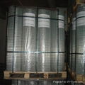 welded wire mesh 1