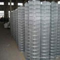 welded wire mesh 3