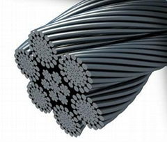 Steel wire rope