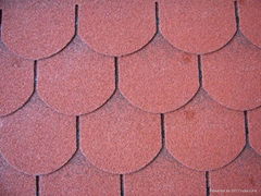 asphalt shingle