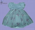 baby flower girl dress