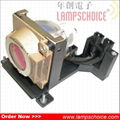 BanQ projector Lamp with housing