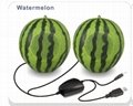 Watermelon Stereo Speaker