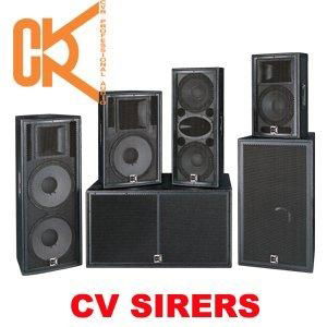 12 inch 2 way full range Professional Speaker(cv123) 2