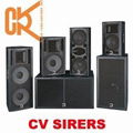 12 inch 2 way full range Professional Speaker(cv123) 2