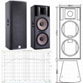 dual 15 inch speaker sound equipment pro audio 3