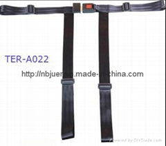 Child seat belt,4-point seat belt