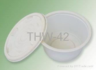 biodegradable bowl 3