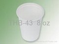 biodegradable 8 oz cup