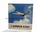 Resin airplane model A319 S7 Airlines 39cm 4
