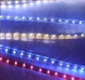 High Power LED Strip Light with CE RoHS