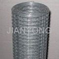 Welded Wire Mesh 