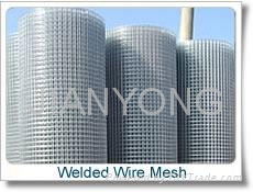 Welded Wire Mesh  2