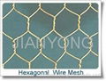 Hexagonal wire mesh