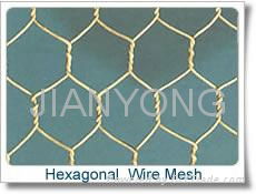 Hexagonal wire mesh