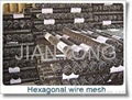 Hexagonal wire mesh 3