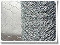 Hexagonal wire mesh 4