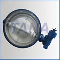 metal seated butterfly valve