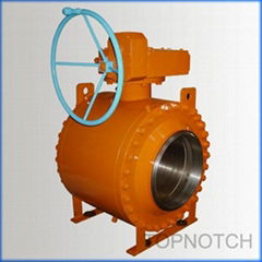 fixed ball valve