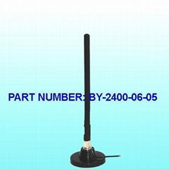 2.4G antenna