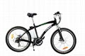 Electric bicycle 1