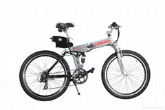 Electric bicycle