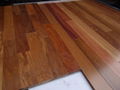 Solid Cumaru Flooring 1