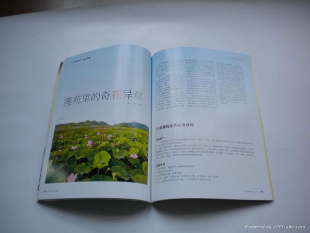 雜誌 3