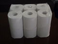 Toilet Tissue 2