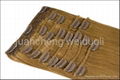 100%remy clip in human hair extension