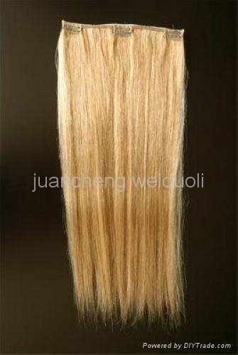 100%remy clip in human hair extension 2